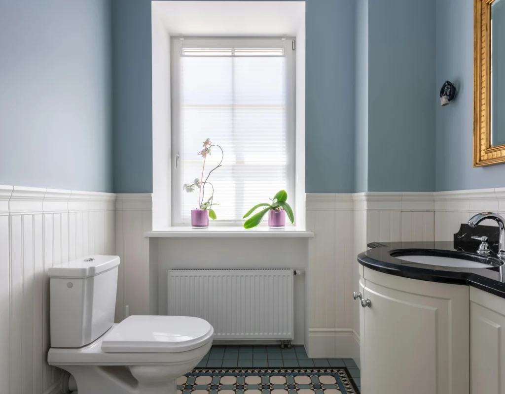 Toilet Installation Vista CA